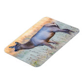 Calf Elk | Madison Junction, Wyoming Magneet (Linkerzijde)