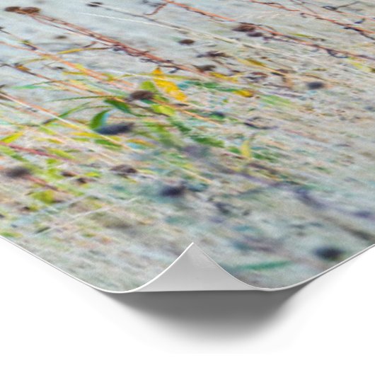 Calf Elk | Madison Junction, Wyoming Poster (Hoek)