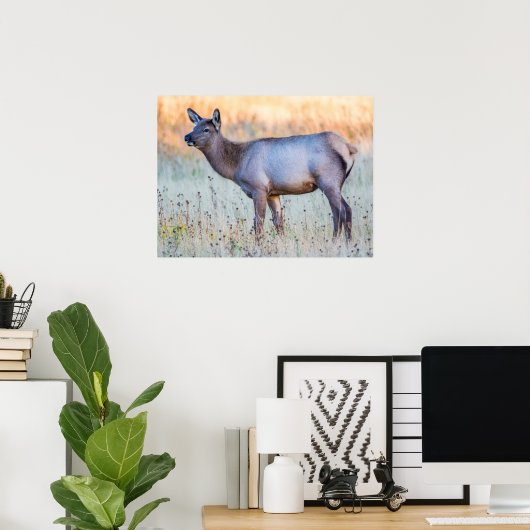 Calf Elk | Madison Junction, Wyoming Poster (Thuiskantoor)