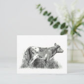 CALF IN PENCIL BRIEFKAART (Staand voorkant)