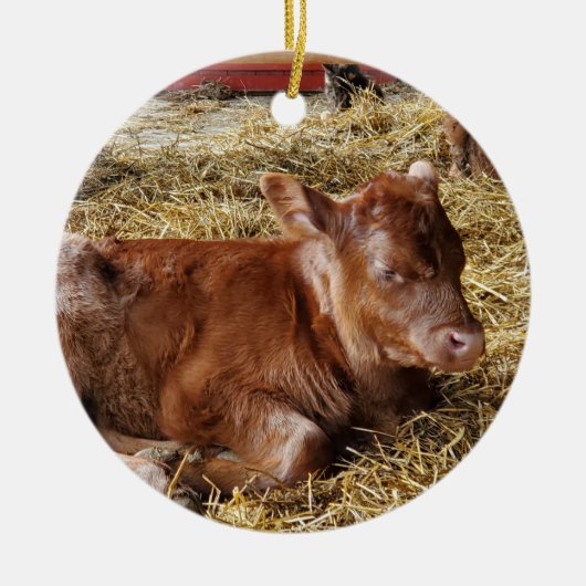 Calf Keramisch Ornament (Voorkant)