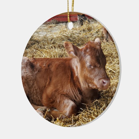 Calf Keramisch Ornament (Links)