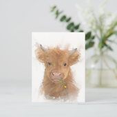 Calf Portrait voor Koe op het hoger gelegen Briefkaart (Staand voorkant)