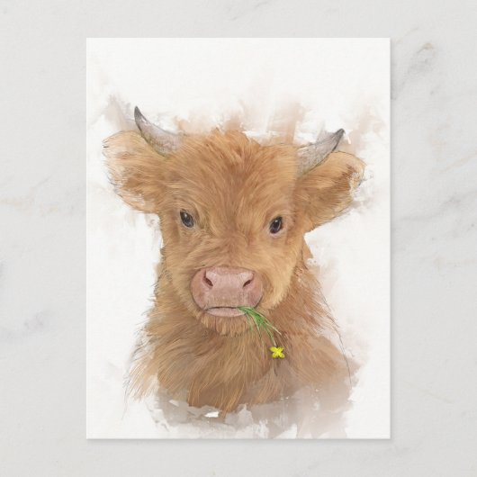 Calf Portrait voor Koe op het hoger gelegen Briefkaart (Voorkant)