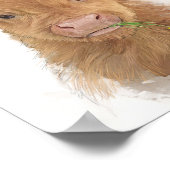 Calf Portrait voor Koe op het hoger gelegen Poster (Hoek)