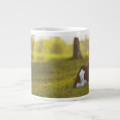 Calf Resting Grote Koffiekop (Voorkant)