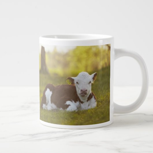 Calf Resting Grote Koffiekop (Rechts)