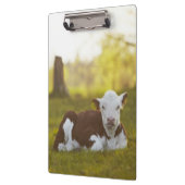 Calf Resting Klembord (Links)