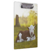 Calf Resting Klembord (Rechts)