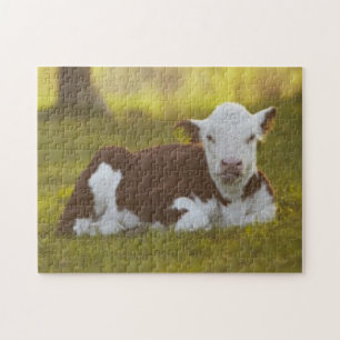 Calf Resting Legpuzzel