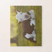 Calf Resting Legpuzzel (Verticaal)