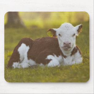 Calf Resting Muismat