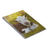 Calf Resting Notitieboek (Rechterzijde)