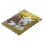 Calf Resting Notitieboek (Linkerzijde)