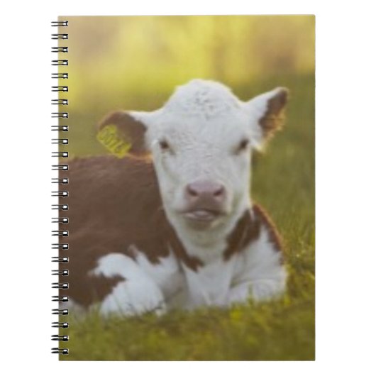 Calf Resting Notitieboek (Voorkant)