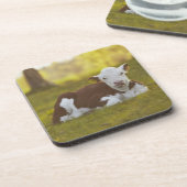 Calf Resting Onderzetter (Linkerzijde)