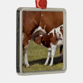 Calf Suckling Metalen Ornament (Rechts)