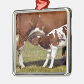 Calf Suckling Metalen Ornament (Links)