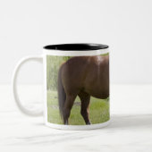 Calgary, Alberta, Canada 2 Tweekleurige Koffiemok (Links)