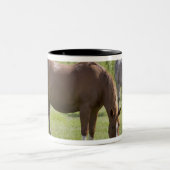 Calgary, Alberta, Canada 2 Tweekleurige Koffiemok (Center)