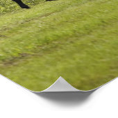 Calgary, Alberta, Canada Poster (Hoek)