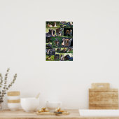 Calgary Zoo Tiger met kubussen Poster (Keuken)