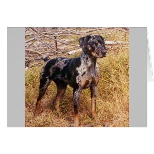 Cali (Voorkant Horizontaal)