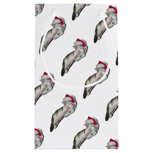 Cali, het Kat met kerstsnoepriet Klein Cadeauzakje (Achterkant)