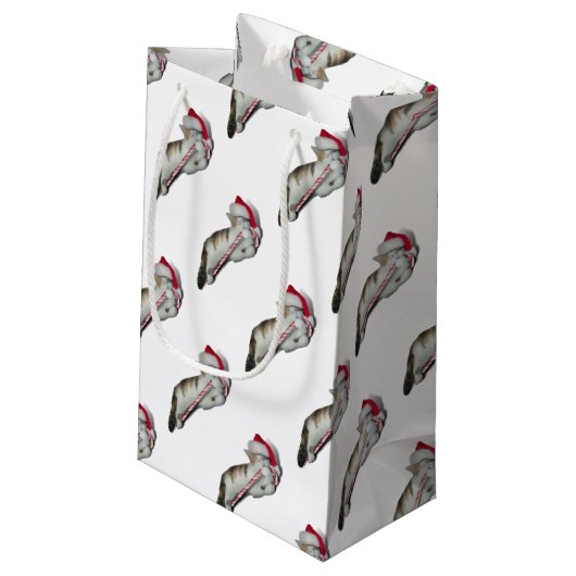 Cali, het Kat met kerstsnoepriet Klein Cadeauzakje (Achterkant Gekanteld)