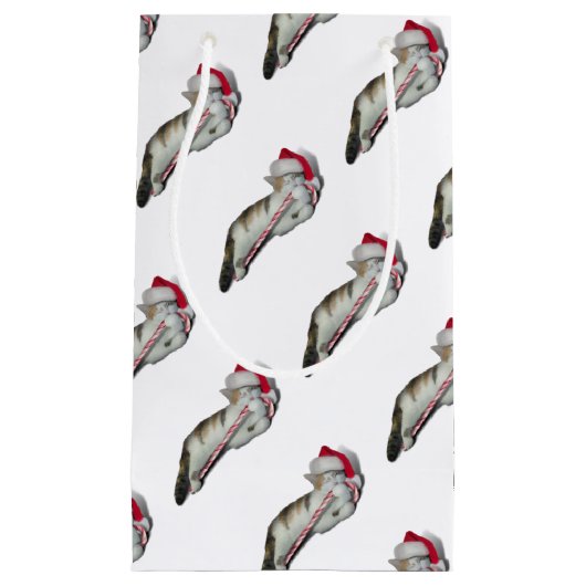 Cali, het Kat met kerstsnoepriet Klein Cadeauzakje (Voorkant)