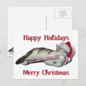 Cali, het Kat van het snoepriet Briefkaart (Voorkant / Achterkant)