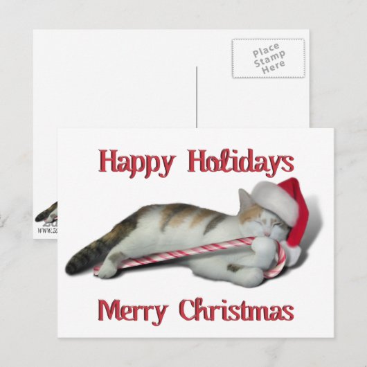 Cali, het Kat van het snoepriet Briefkaart (Voorkant / Achterkant)