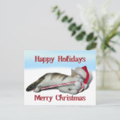 Cali, het Kat van het snoepriet Briefkaart (Staand voorkant)