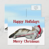 Cali, het Kat van het snoepriet Briefkaart (Voorkant / Achterkant)