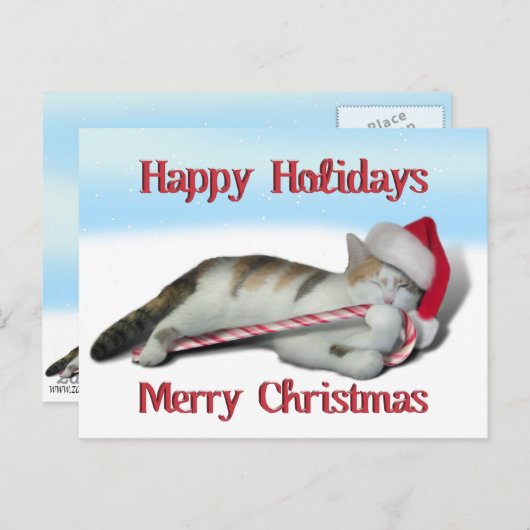 Cali, het Kat van het snoepriet Briefkaart (Voorkant / Achterkant)