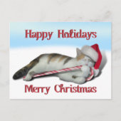 Cali, het Kat van het snoepriet Briefkaart (Voorkant)