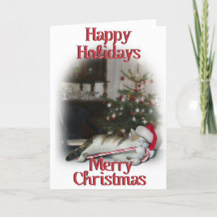 Cali, het Kat van het snoepriet Feestdagen Kaart