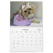 Cali Lollipop 2014 12-maands kalender (Feb 2027)