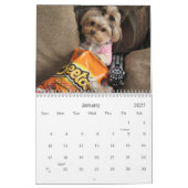 Cali Lollipop 2014 12-maands kalender (Jan 2027)