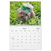 Cali Lollipop 2014 12-maands kalender (Mar 2026)