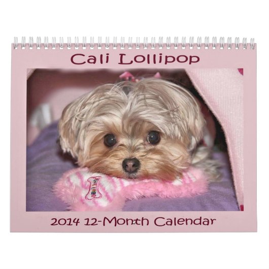 Cali Lollipop 2014 12-maands kalender (Hoes)