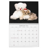 Cali Lollipop 2015 12-maands kalender (Feb 2027)