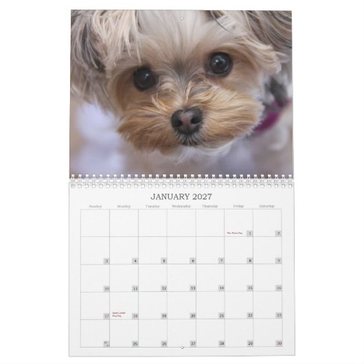 Cali Lollipop 2015 12-maands kalender (Jan 2027)
