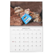 Cali Lollipop 2015 12-maands kalender (Mar 2027)