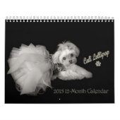 Cali Lollipop 2015 12-maands kalender (Hoes)