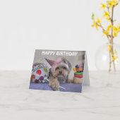 Cali Lollipop Happy Birthday Blank Note Kaart (Gele Bloem)