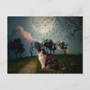 Cali Moon Briefkaart