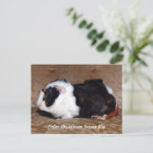 Calico Abyssinius Guinee Pig Briefkaart (Staand voorkant)