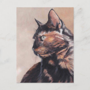 Calico American Shorthair Cat Briefkaart