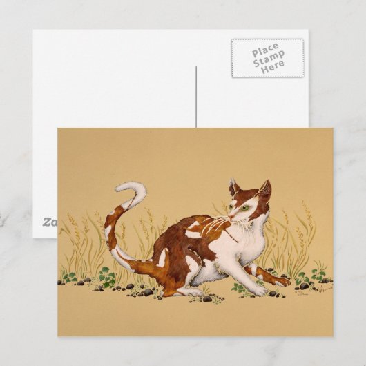 Calico Autum Briefkaart (Voorkant / Achterkant)